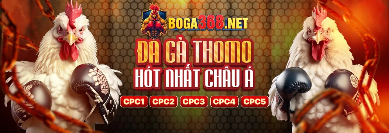 Hình ảnh tổng quan về chiến lược thắng lớn tại 555 win 22